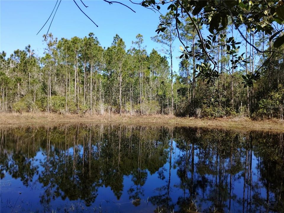 For Sale: $140,000 (2.55 acres)