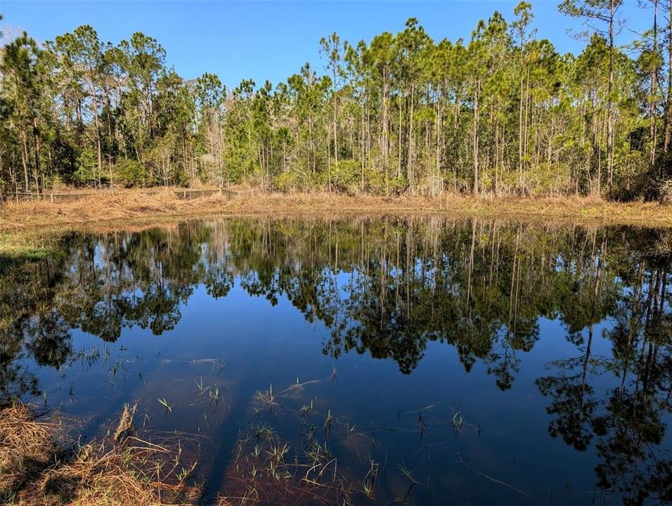 For Sale: $140,000 (2.55 acres)