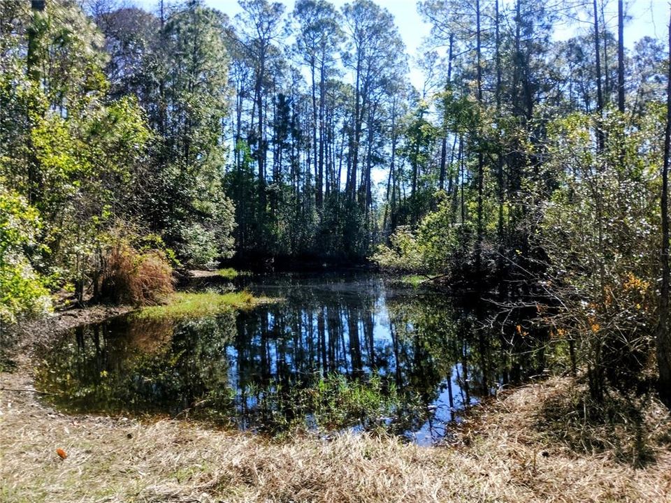 For Sale: $140,000 (2.55 acres)