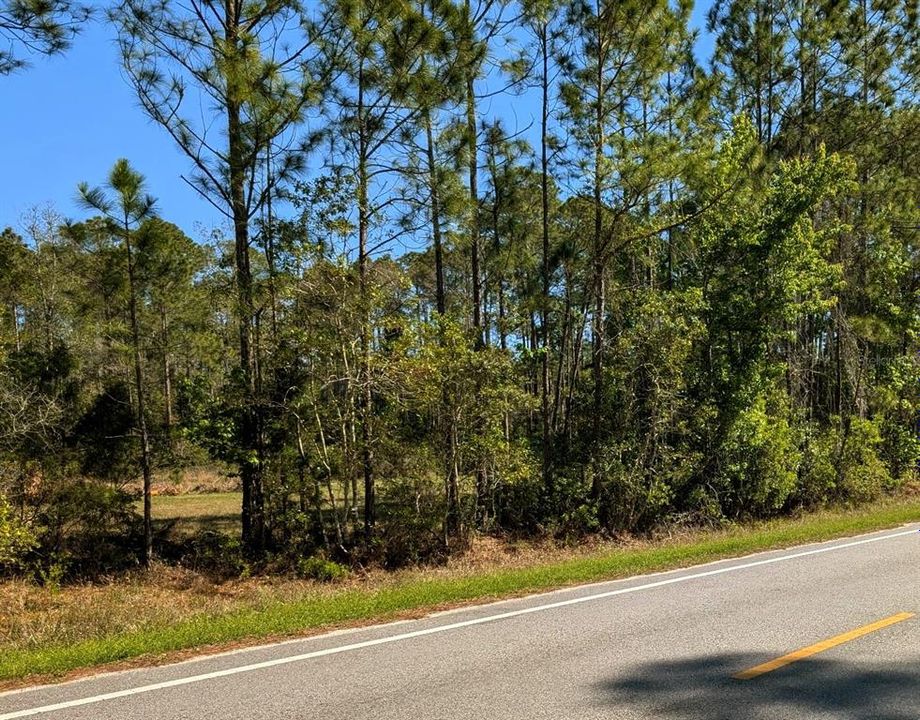 For Sale: $140,000 (2.55 acres)