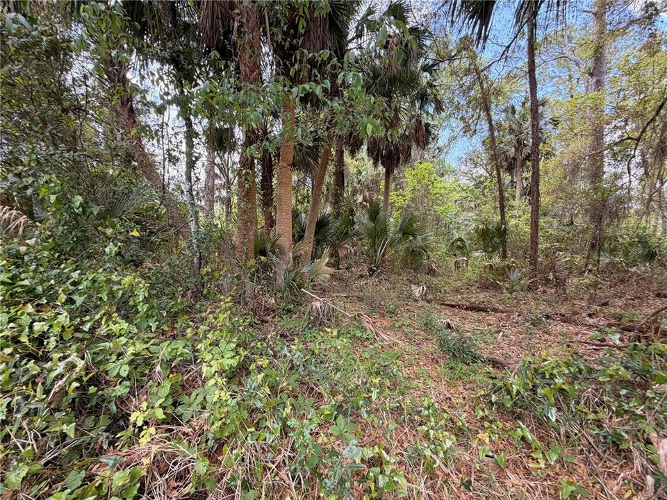 待售: $150,000 (11.16 acres)