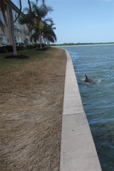 En Venta: $275,000 (1 camas, 1 baños, 957 Pies cuadrados)