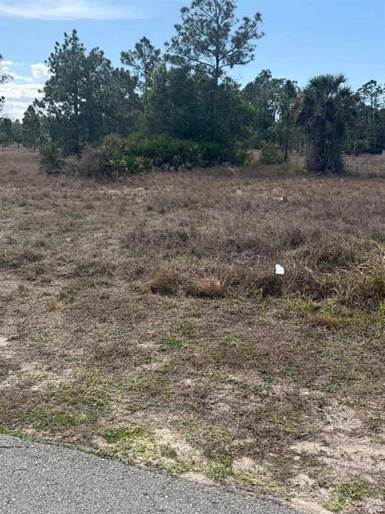 For Sale: $45,000 (0.50 acres)