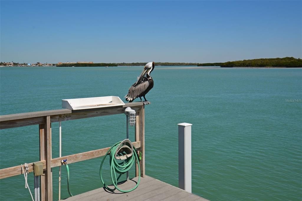 For Sale: $329,900 (2 beds, 2 baths, 1175 Square Feet)