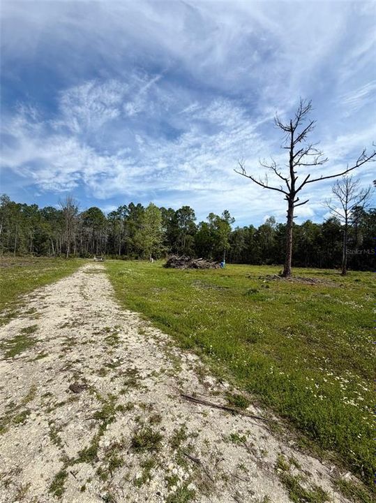 待售: $115,000 (4.40 acres)