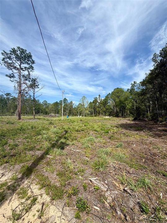 待售: $115,000 (4.40 acres)