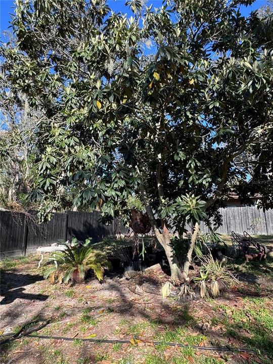 En Venta: $329,000 (2 camas, 1 baños, 1530 Pies cuadrados)