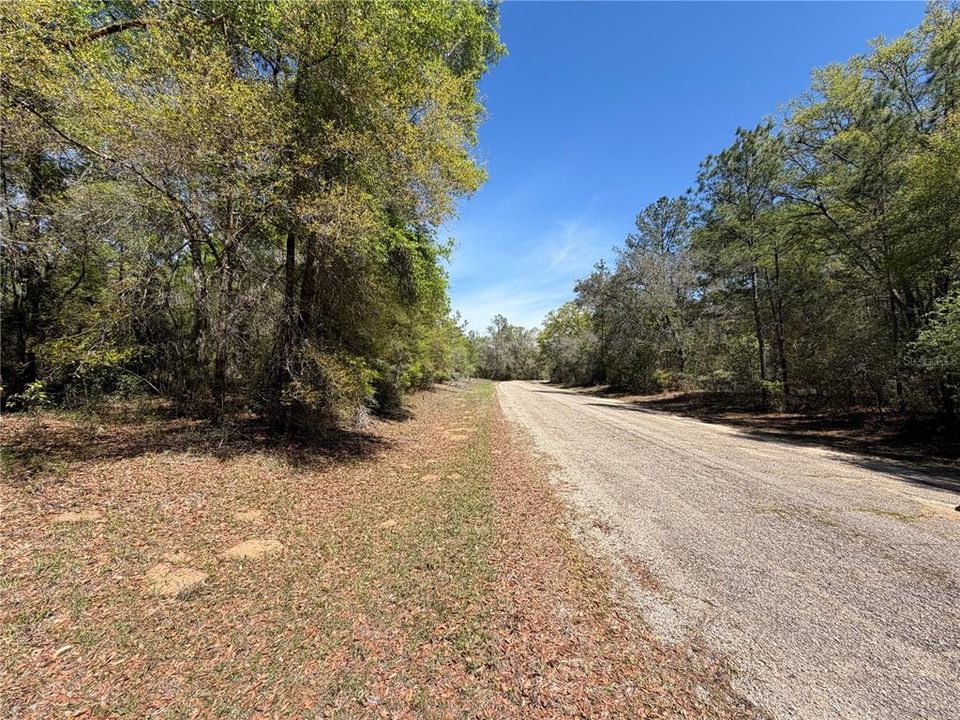 For Sale: $59,900 (0.38 acres)