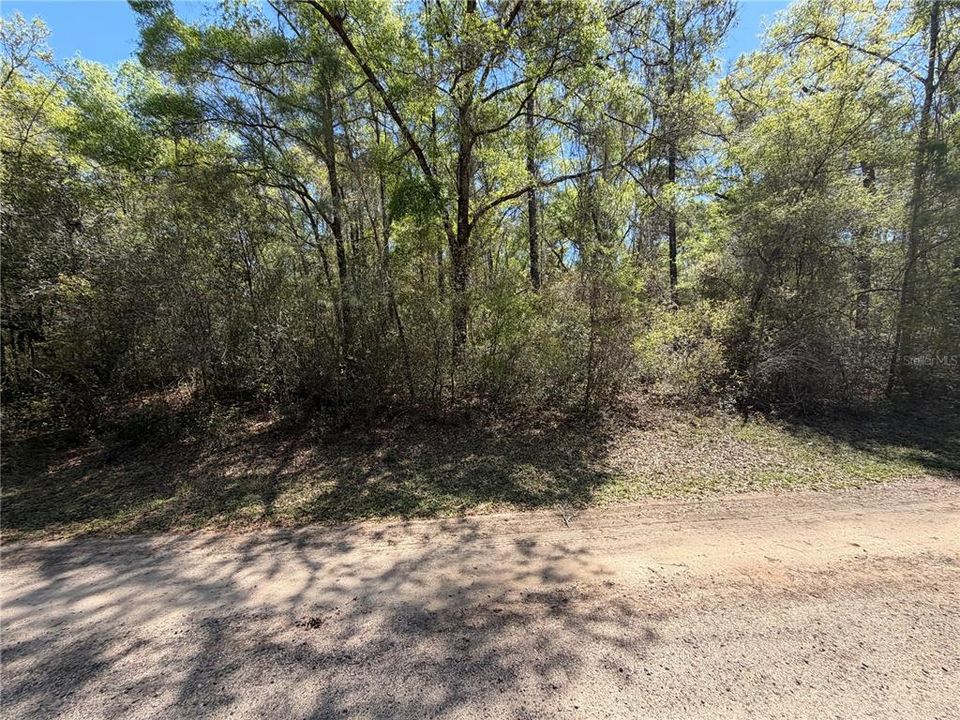 For Sale: $59,900 (0.38 acres)