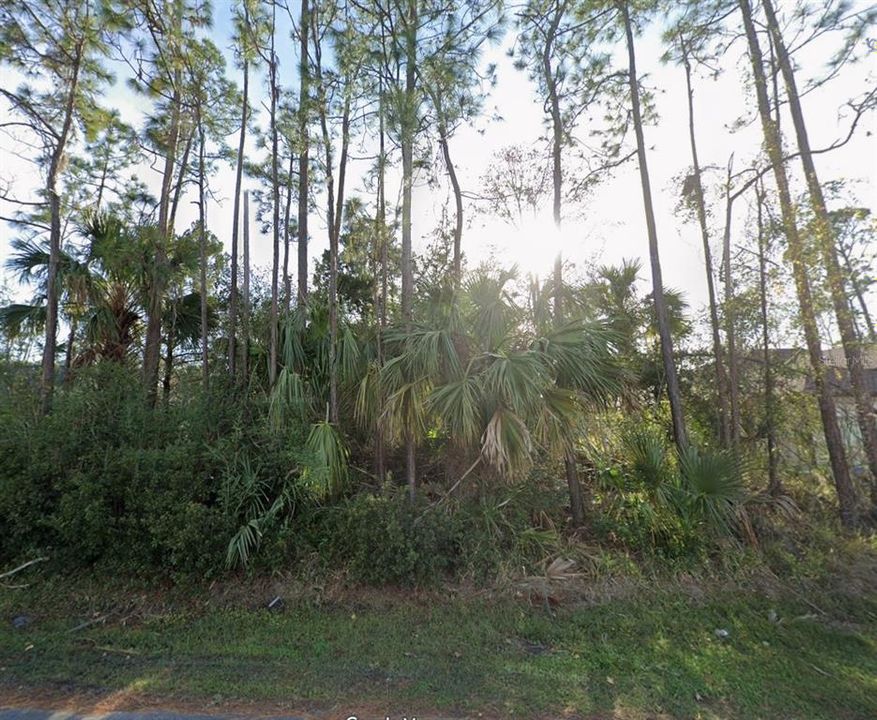 待售: $78,000 (0.23 acres)