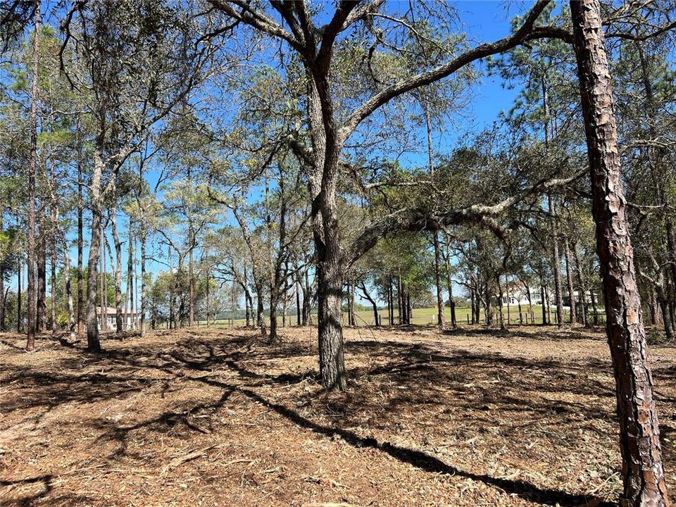 待售: $39,500 (0.97 acres)