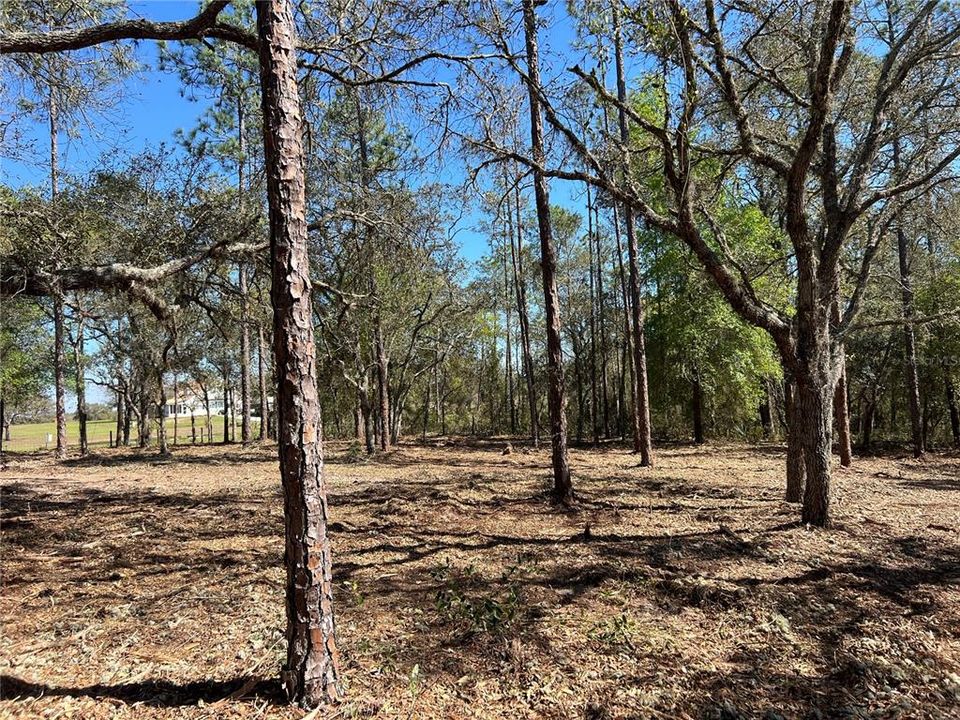 待售: $39,500 (0.97 acres)