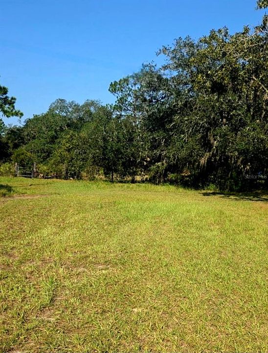 For Sale: $268,990 (3 beds, 2 baths, 1493 Square Feet)