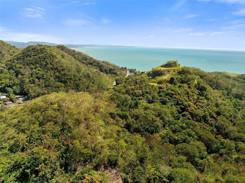 For Sale: $2,600,000 (14.00 acres)