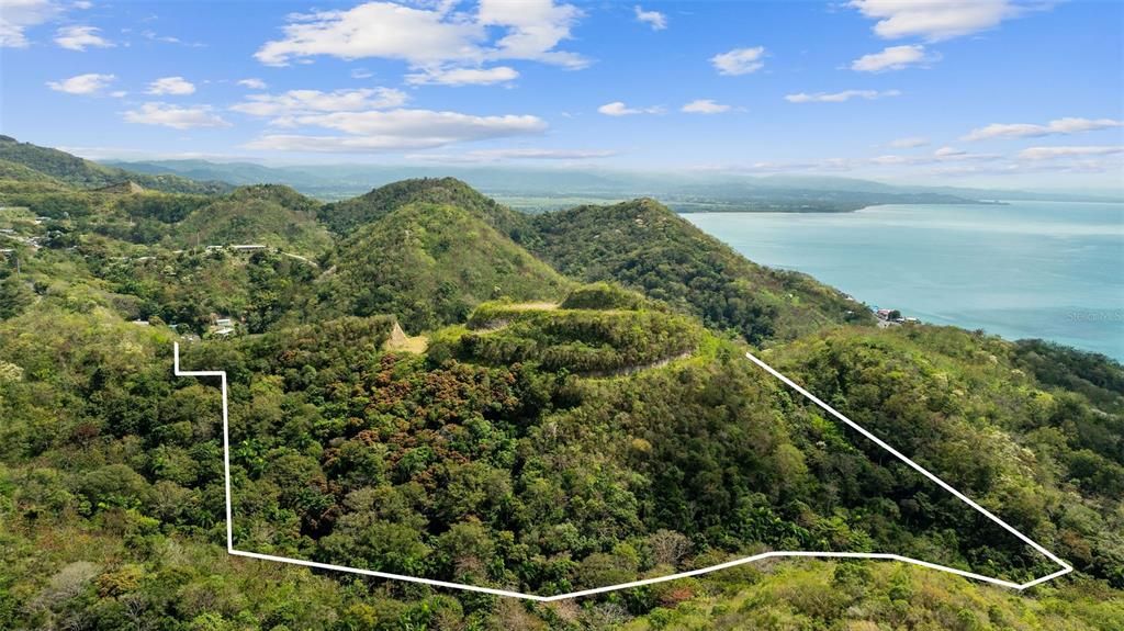 For Sale: $2,600,000 (14.00 acres)