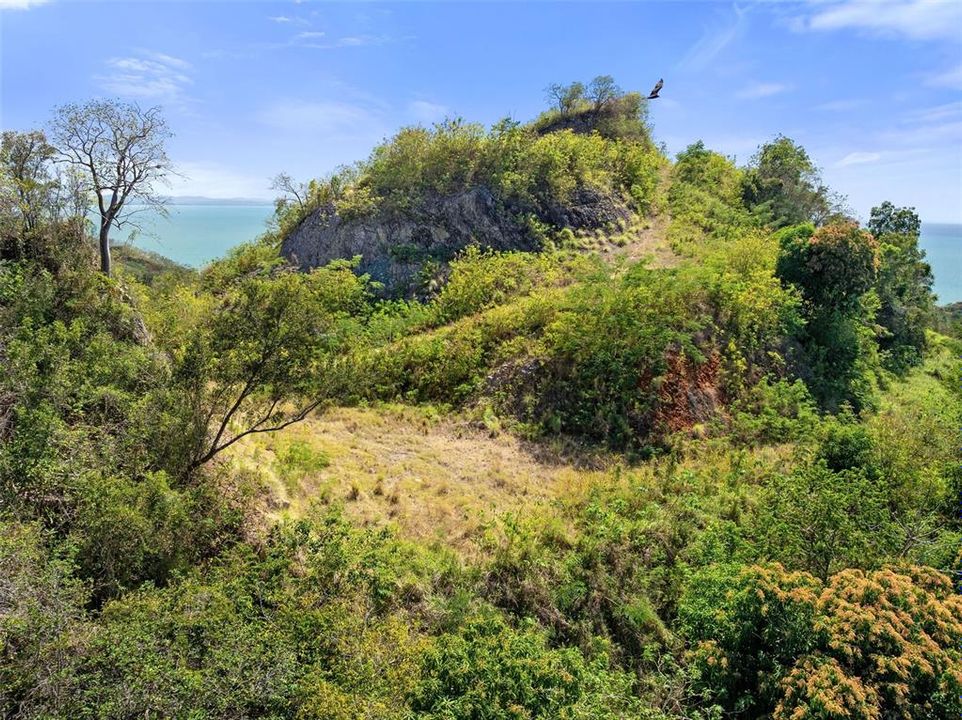 For Sale: $2,600,000 (14.00 acres)