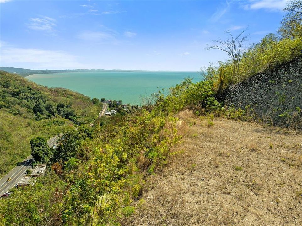 For Sale: $2,600,000 (14.00 acres)