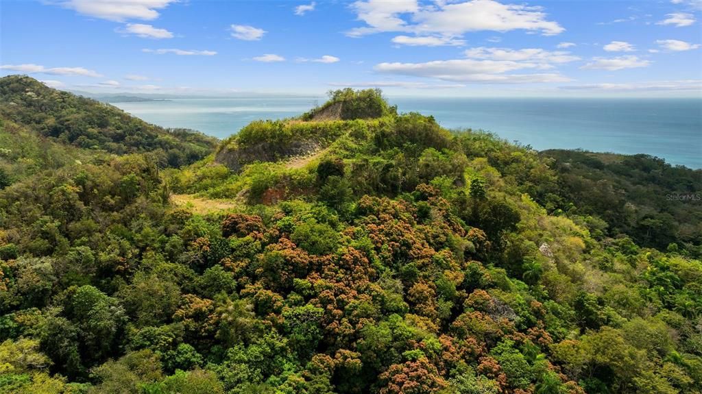 For Sale: $2,600,000 (14.00 acres)