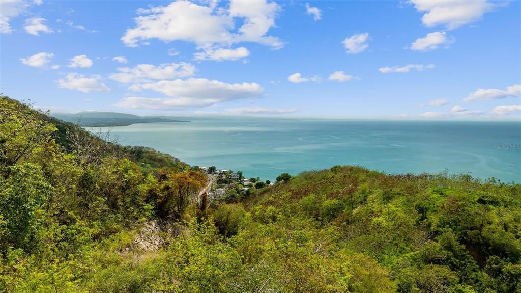 For Sale: $2,600,000 (14.00 acres)