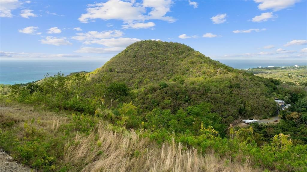 For Sale: $2,600,000 (14.00 acres)