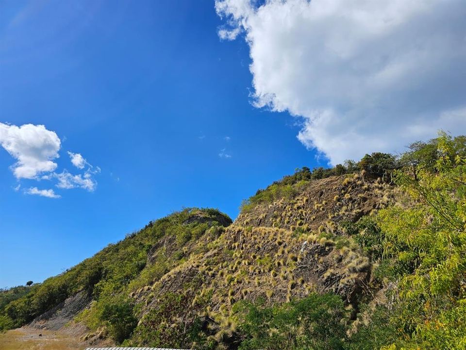 For Sale: $2,600,000 (14.00 acres)