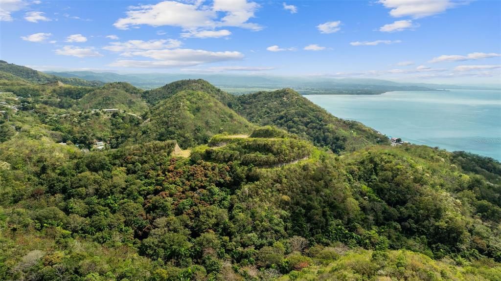 For Sale: $2,600,000 (14.00 acres)