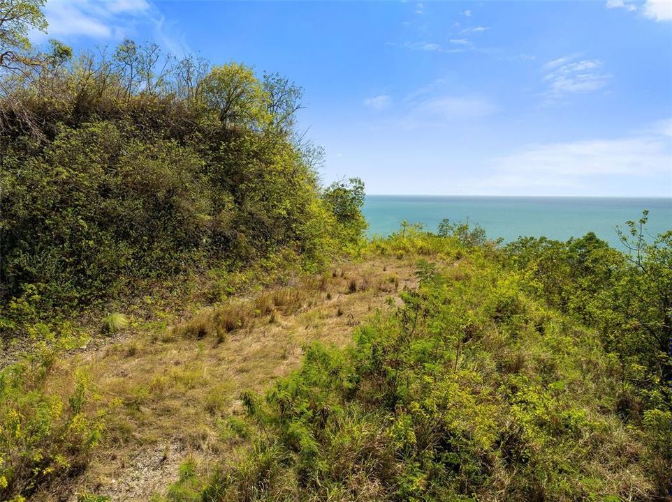 For Sale: $2,600,000 (14.00 acres)