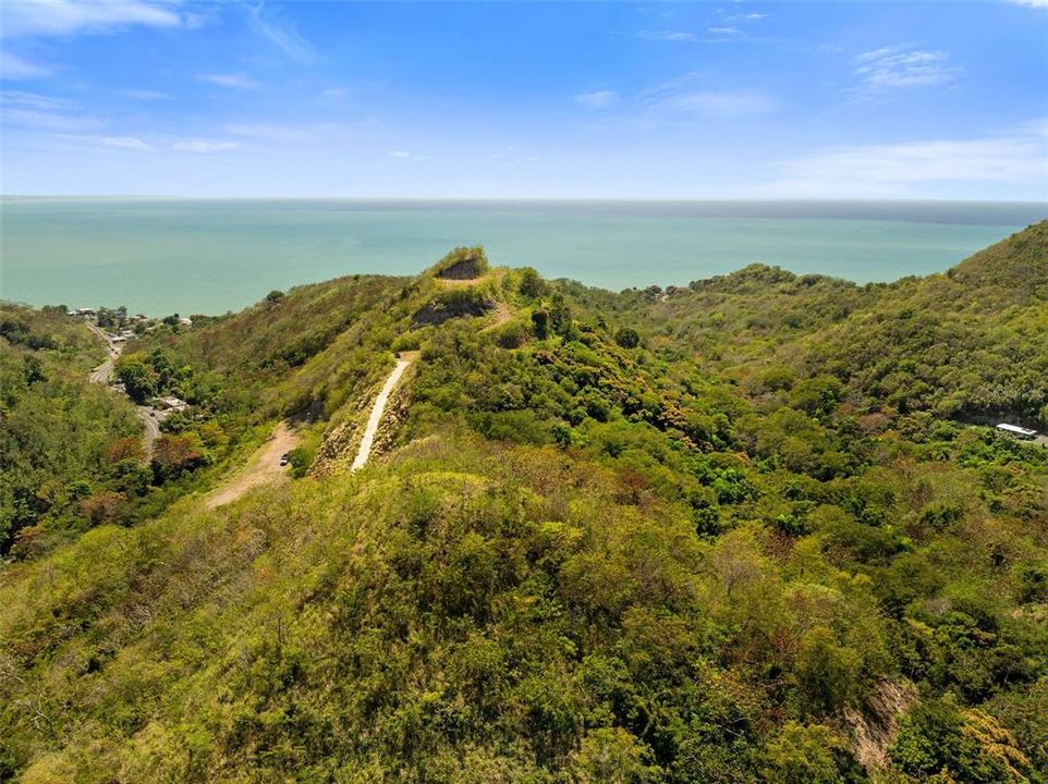 For Sale: $2,600,000 (14.00 acres)