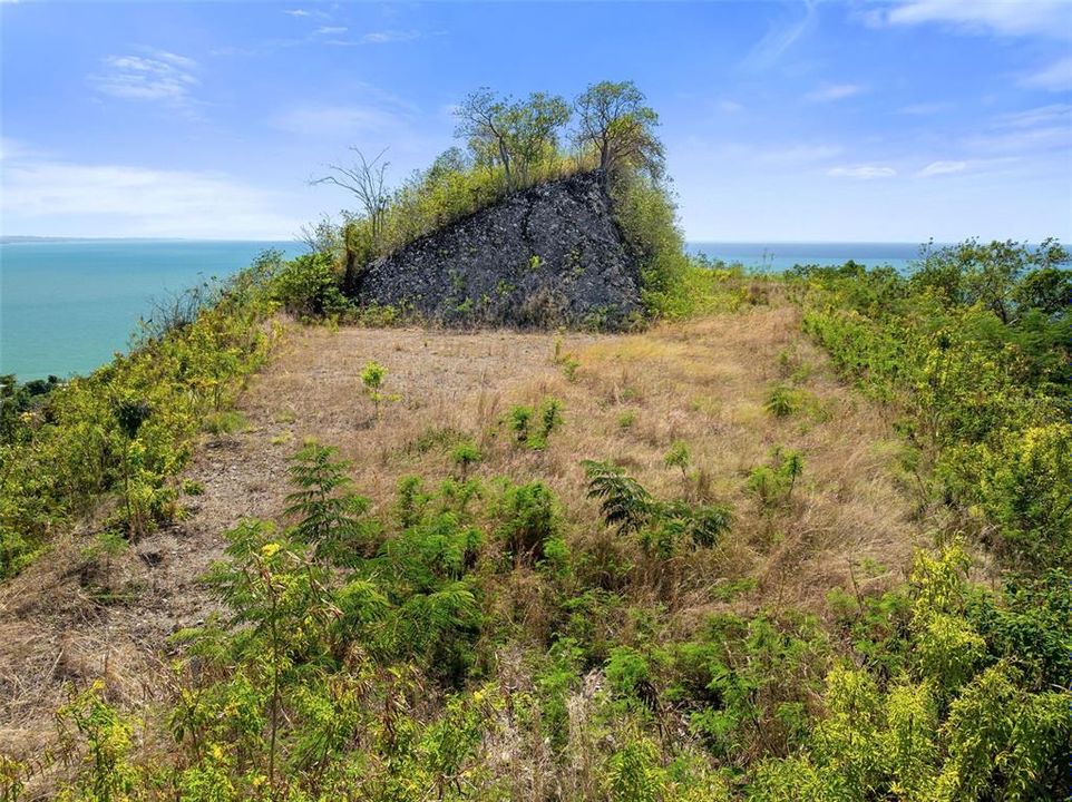 For Sale: $2,600,000 (14.00 acres)
