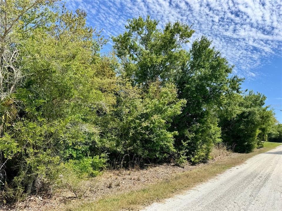 En Venta: $15,900 (0.22 acres)