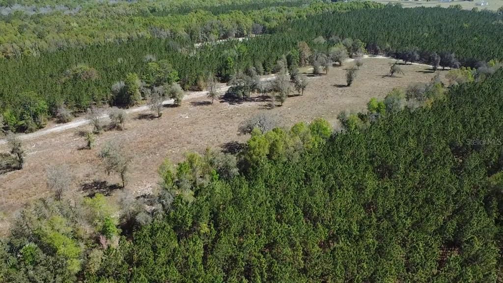 En Venta: $275,000 (17.05 acres)