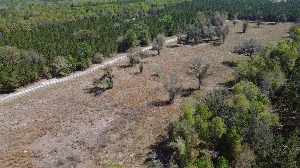 En Venta: $275,000 (17.05 acres)