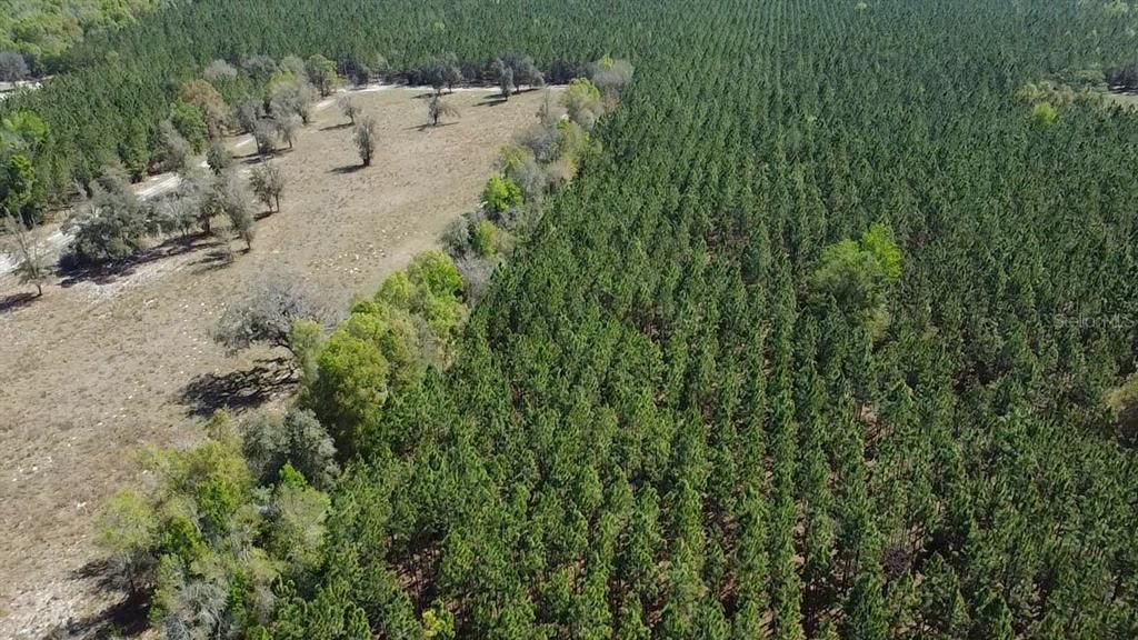 En Venta: $275,000 (17.05 acres)