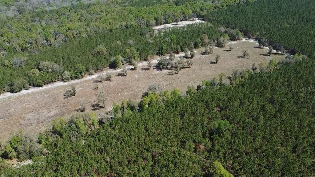 En Venta: $275,000 (17.05 acres)