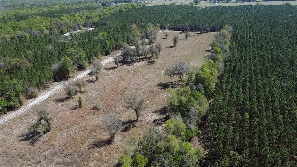 En Venta: $275,000 (17.05 acres)