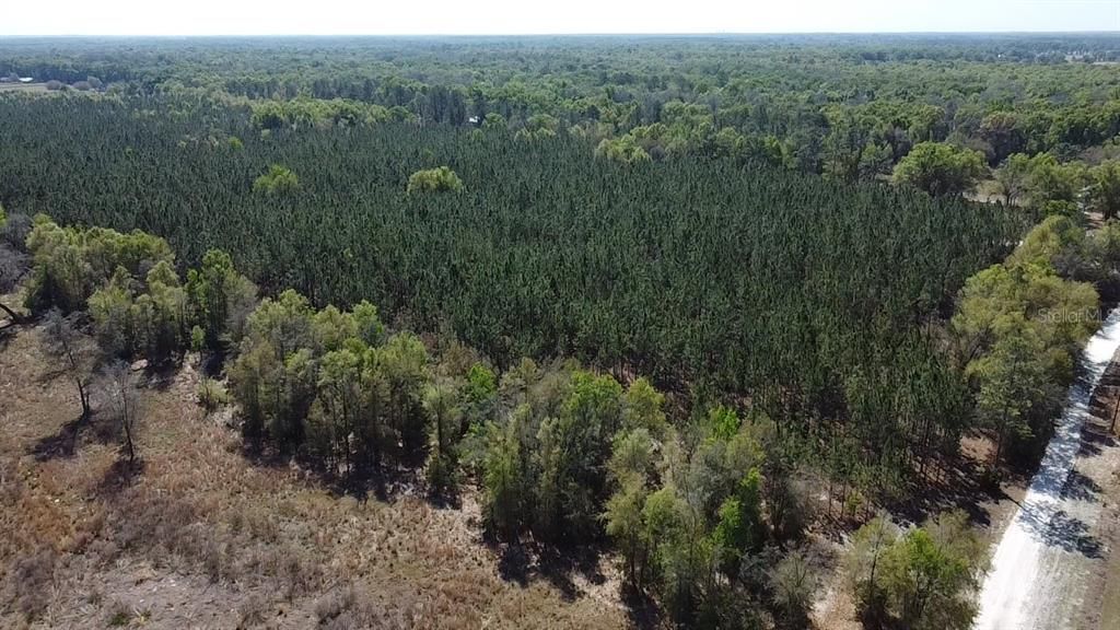 En Venta: $275,000 (17.05 acres)