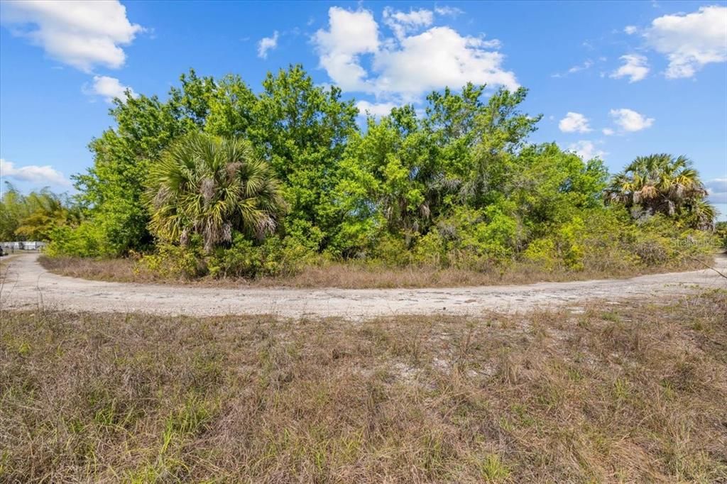 Active With Contract: $28,000 (0.23 acres)