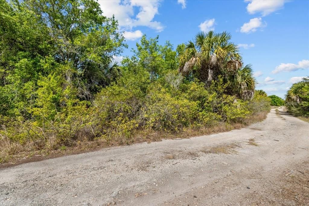 Active With Contract: $28,000 (0.23 acres)