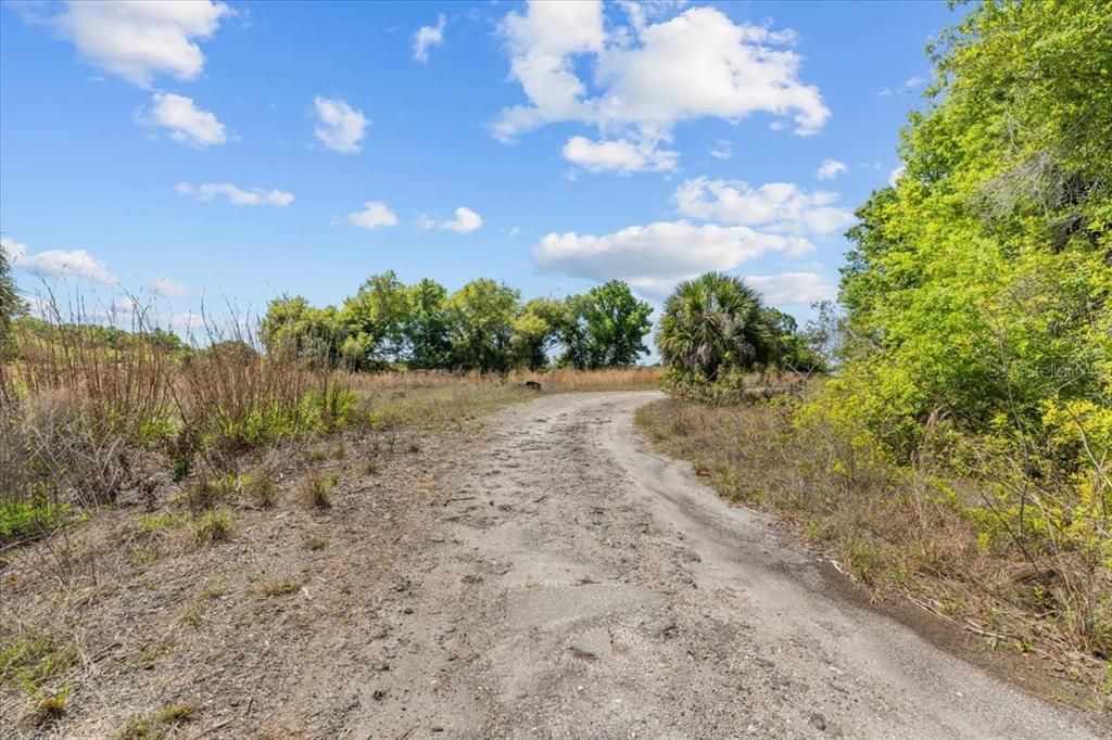 Active With Contract: $28,000 (0.23 acres)