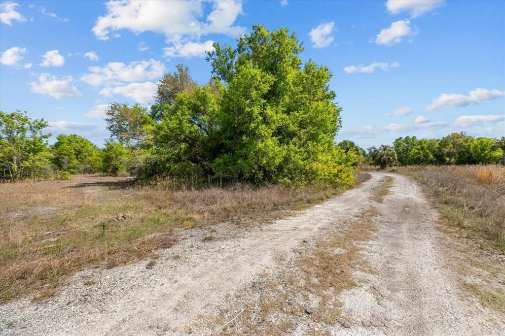 Active With Contract: $28,000 (0.23 acres)