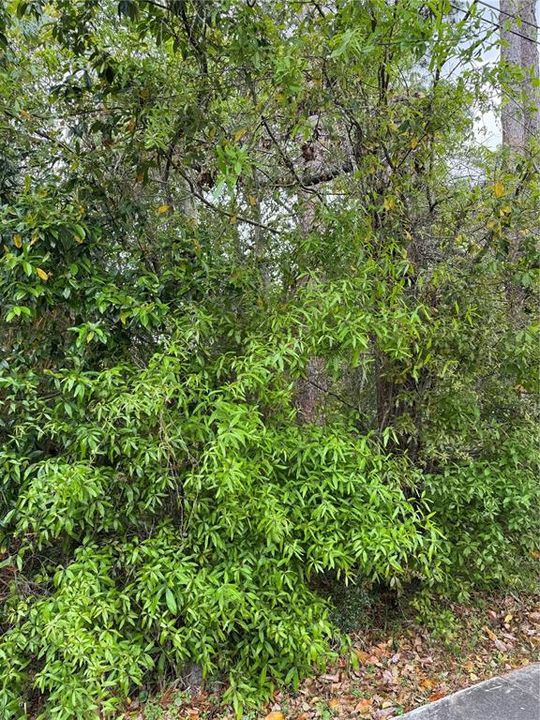 For Sale: $69,750 (1.04 acres)