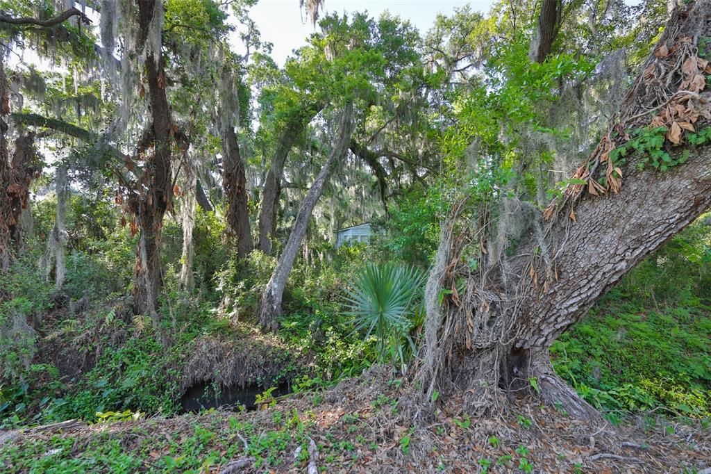 待售: $150,000 (0.91 acres)