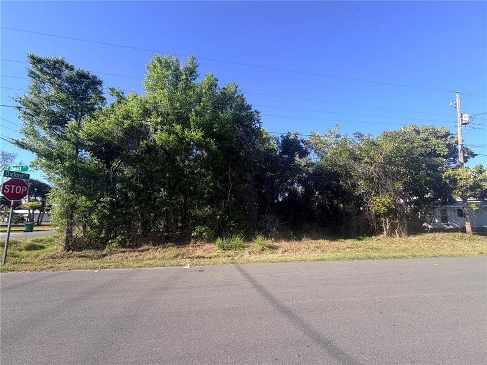 En Venta: $75,000 (0.25 acres)