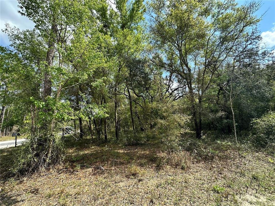 На продажу: $28,000 (1.00 acres)