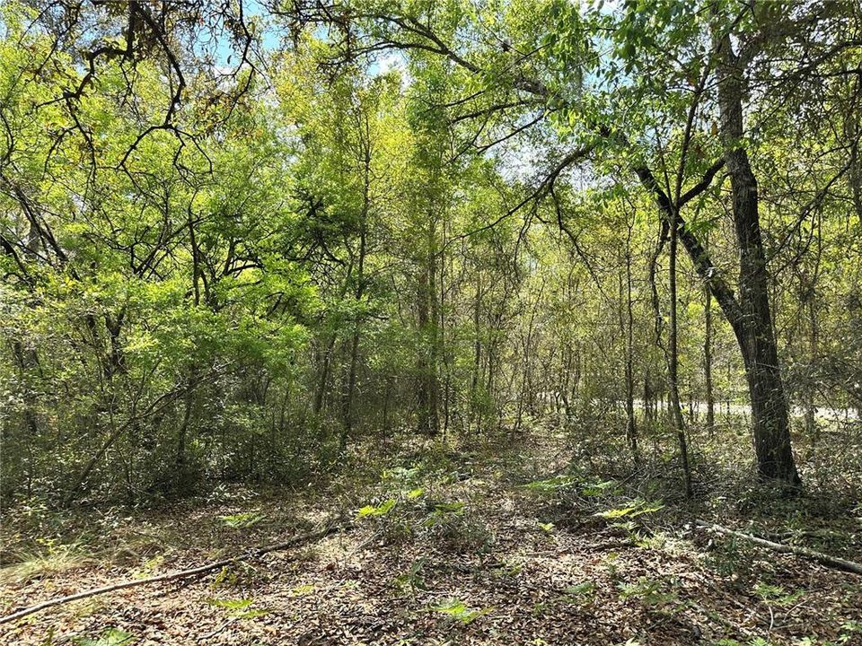 На продажу: $28,000 (1.00 acres)