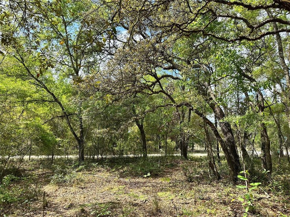 На продажу: $28,000 (1.00 acres)