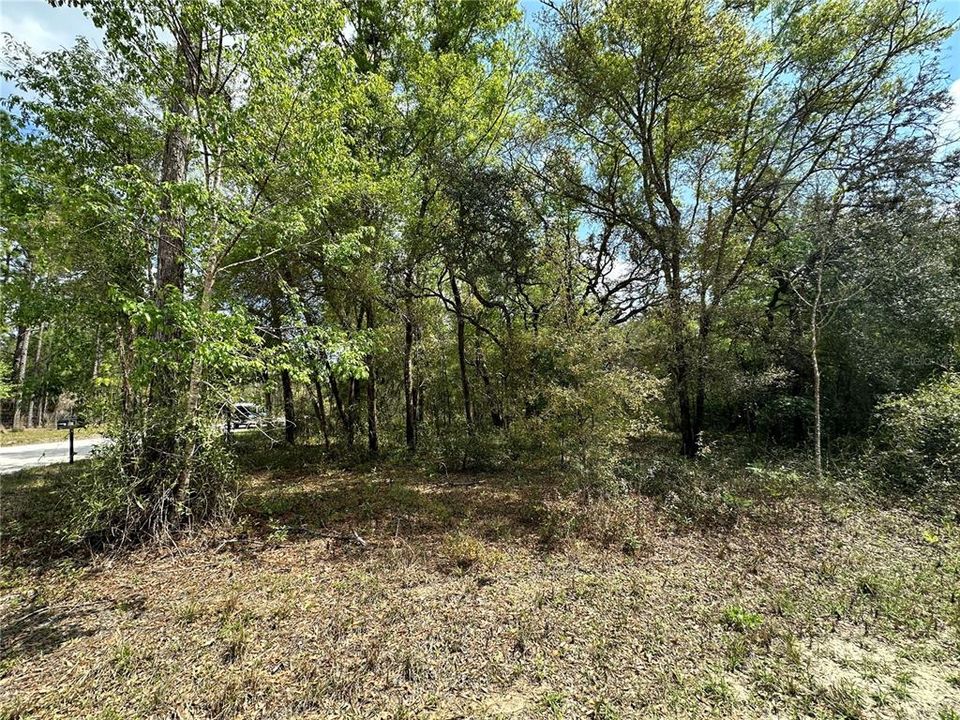 На продажу: $28,000 (1.00 acres)