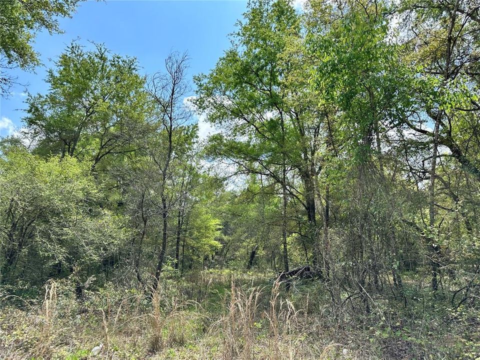 На продажу: $28,000 (1.00 acres)