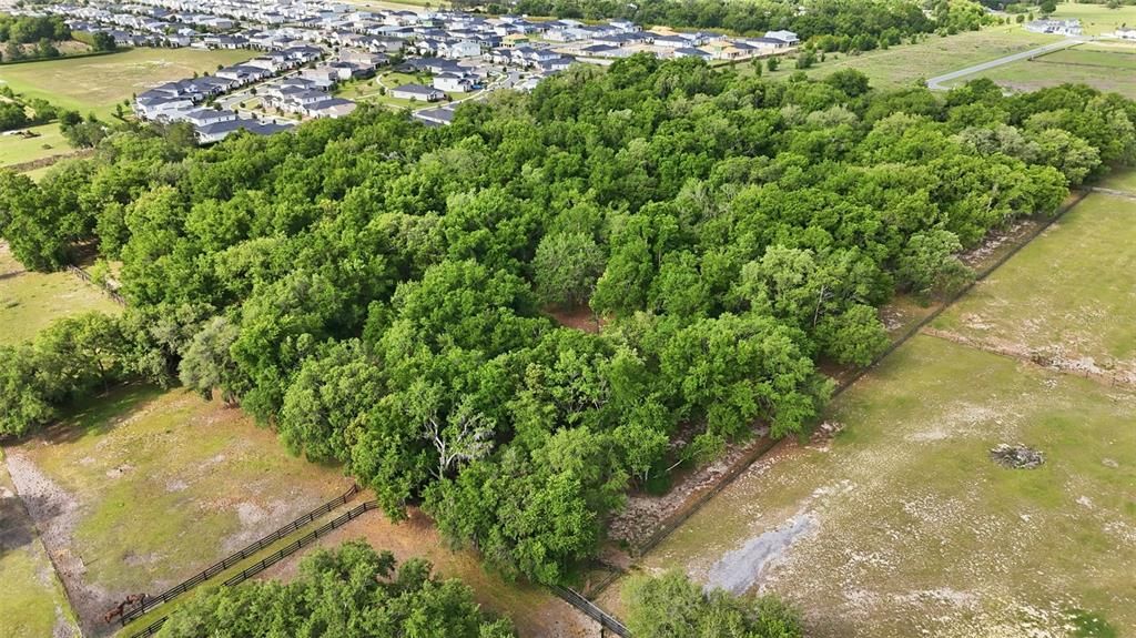 For Sale: $5,499,999 (37.58 acres)