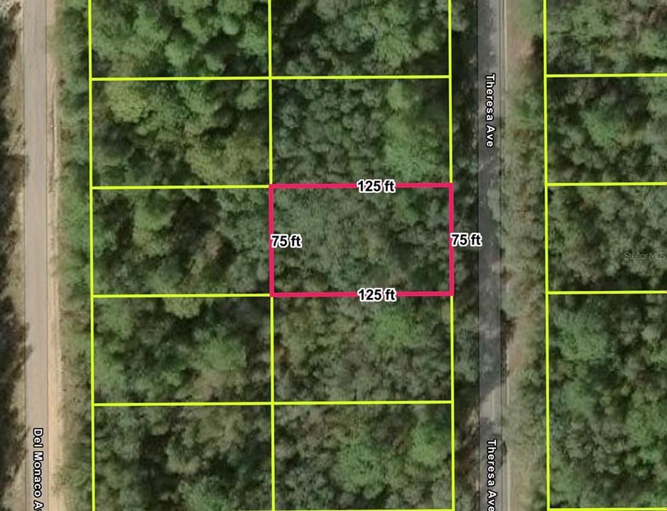 For Sale: $9,850 (0.22 acres)